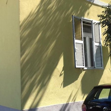 Apartment Jazine Zadar Buitenkant foto